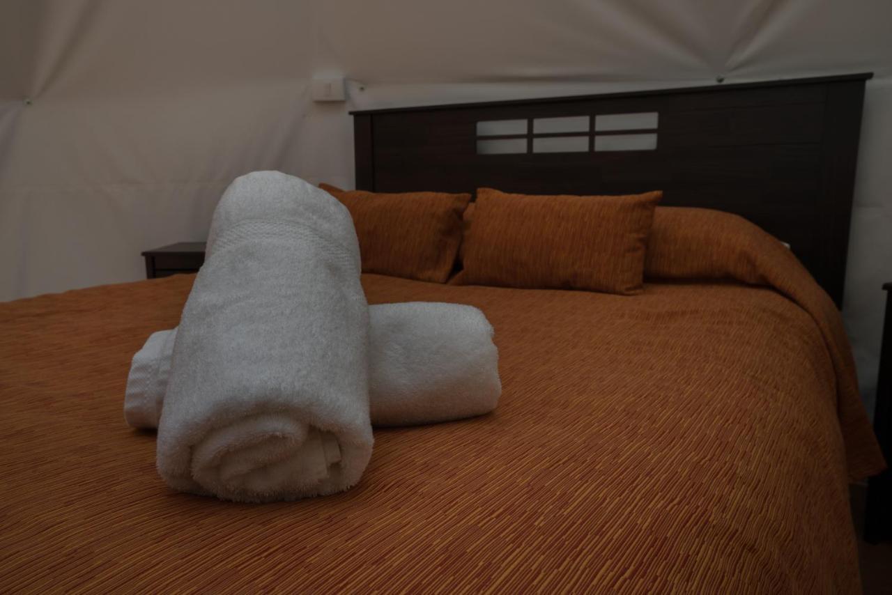 Cabanas Ensenada Bosque Nativo Buitenkant foto