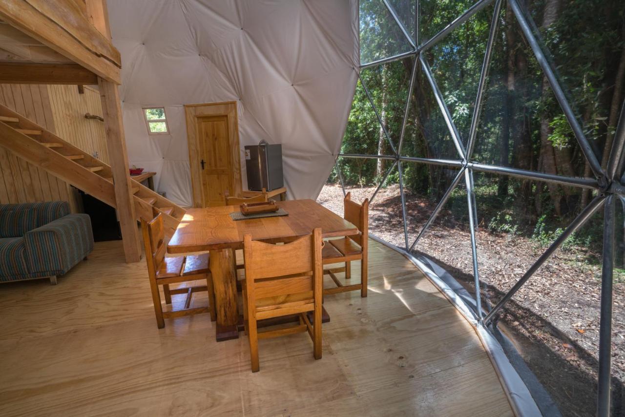 Cabanas Ensenada Bosque Nativo Buitenkant foto