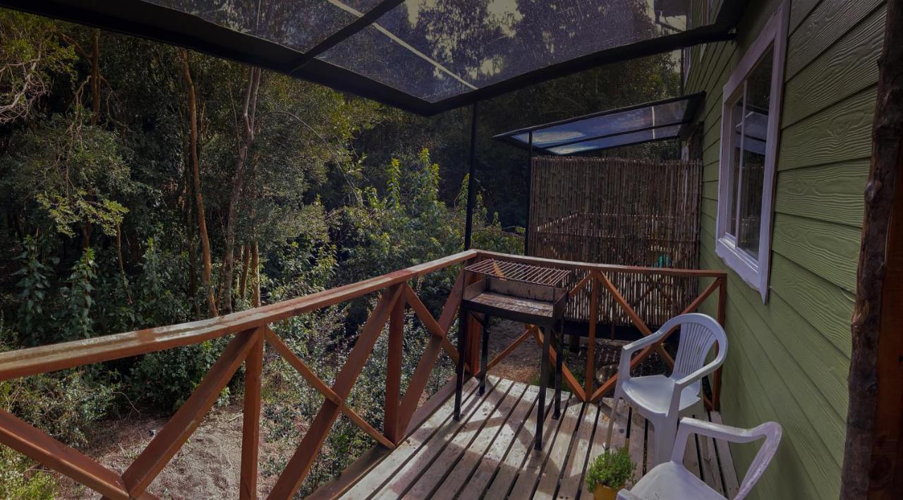 Cabanas Ensenada Bosque Nativo Buitenkant foto