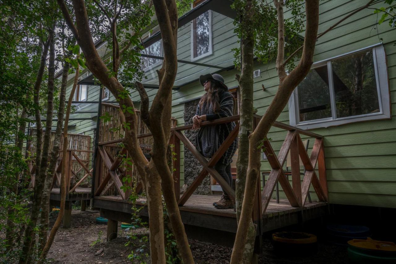 Cabanas Ensenada Bosque Nativo Buitenkant foto