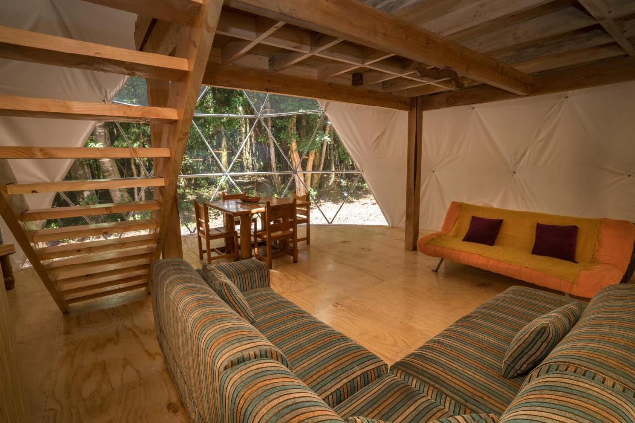 Cabanas Ensenada Bosque Nativo Buitenkant foto
