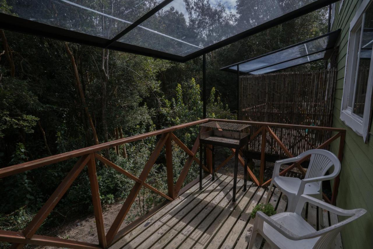 Cabanas Ensenada Bosque Nativo Buitenkant foto
