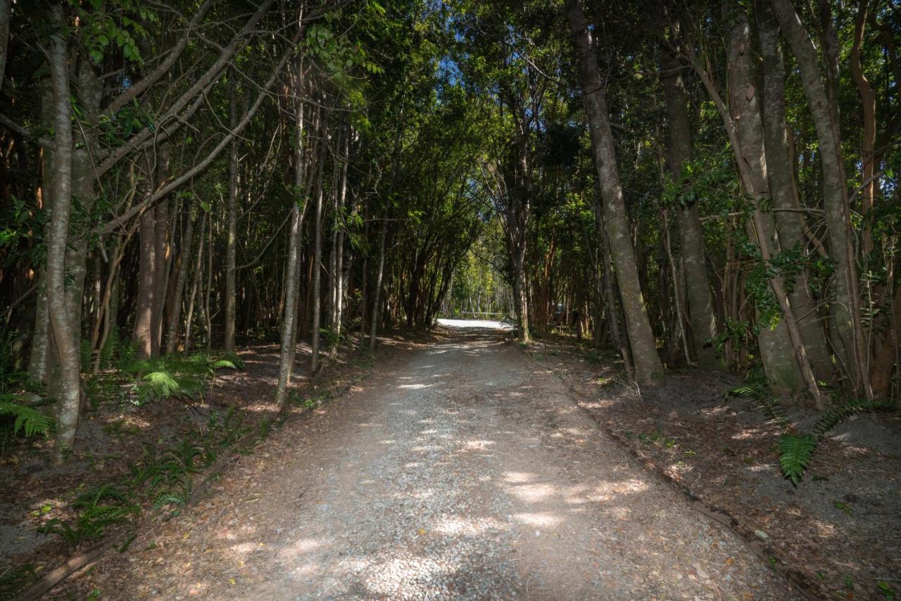 Cabanas Ensenada Bosque Nativo Buitenkant foto