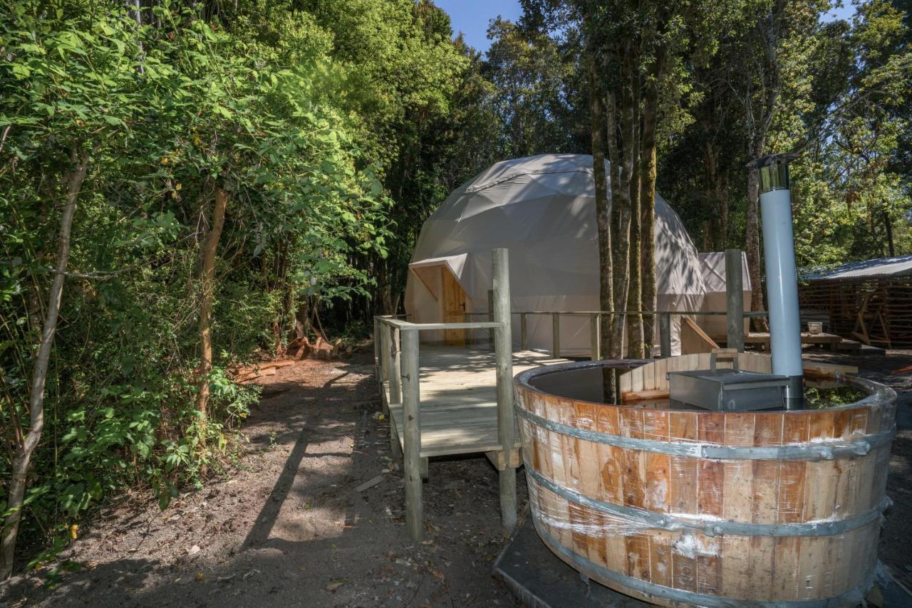 Cabanas Ensenada Bosque Nativo Buitenkant foto