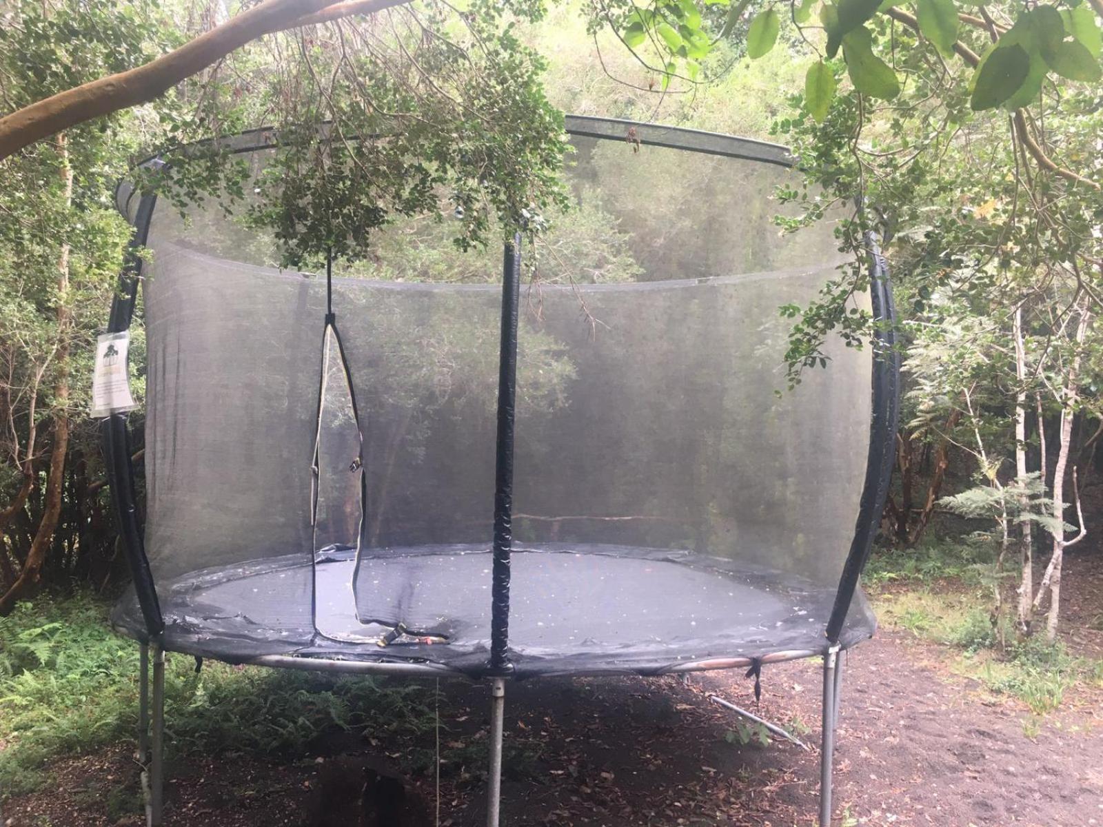 Cabanas Ensenada Bosque Nativo Buitenkant foto