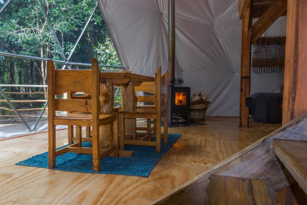 Cabanas Ensenada Bosque Nativo Buitenkant foto